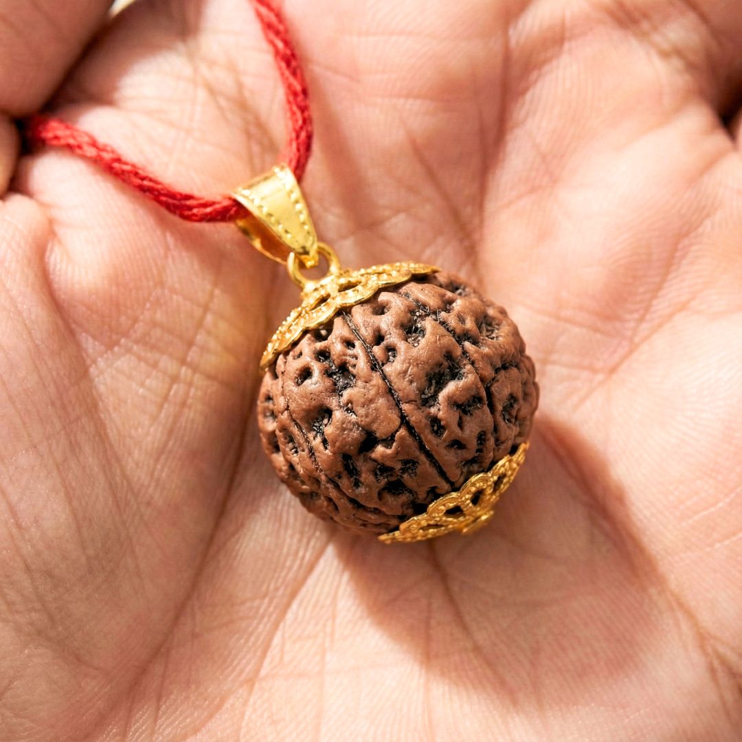 Trivah 7 Mukhi Nepali Rudraksha | Gold Plated