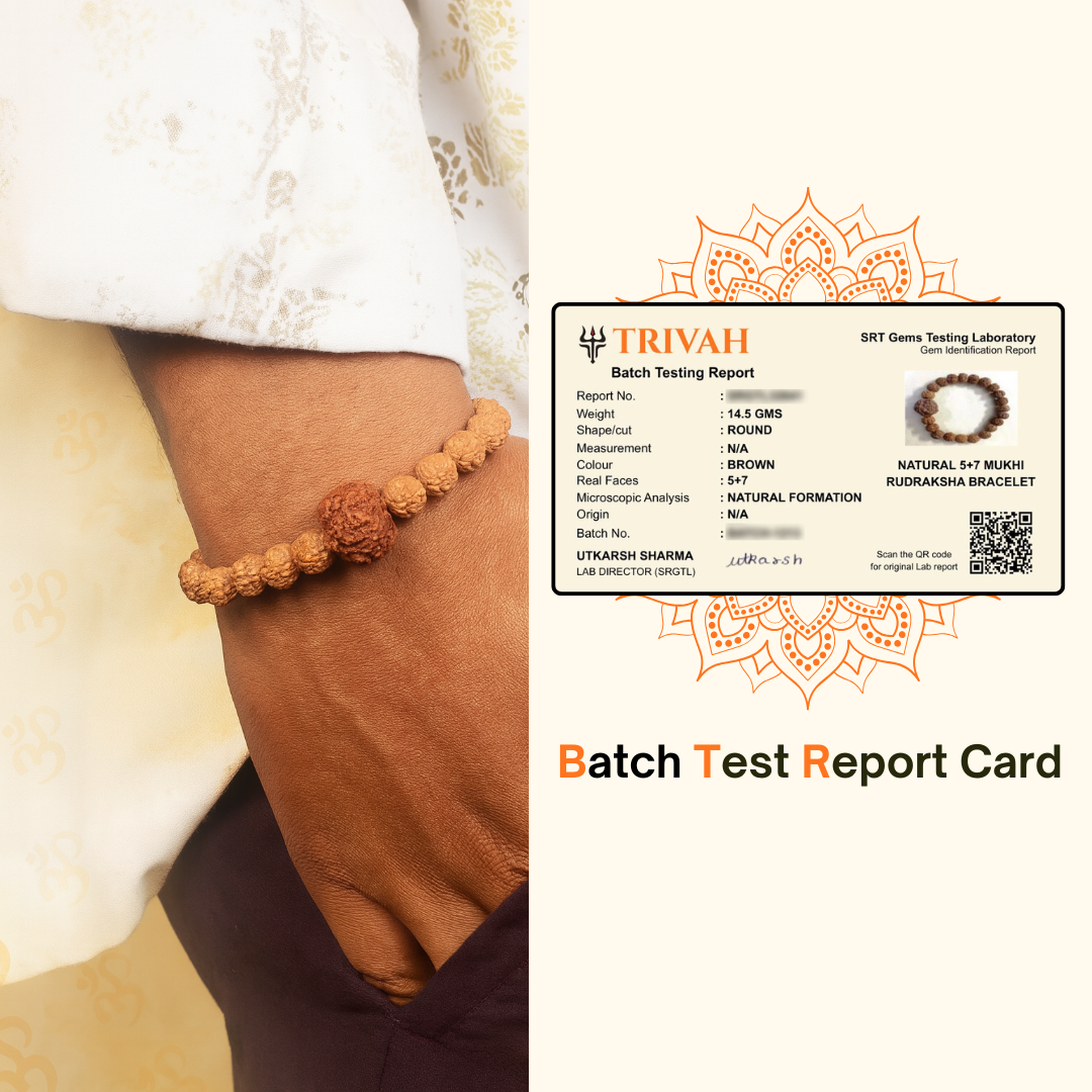 Trivah 5+7 Mukhi Rudraksha Bracelet