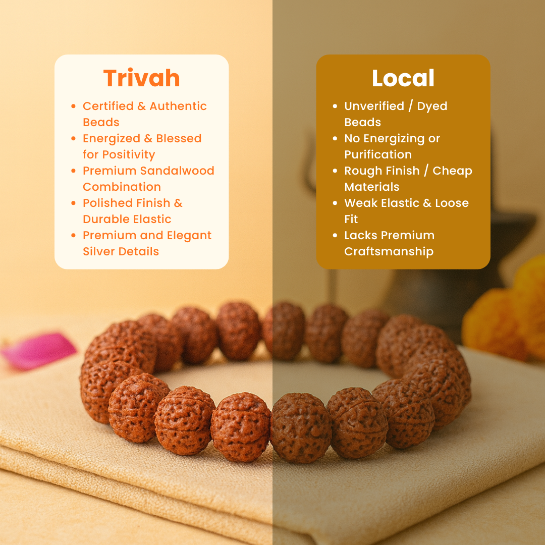 Trivah 7 Mukhi Rudraksha Bracelet