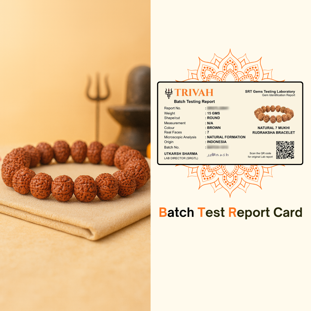 Trivah 7 Mukhi Rudraksha Bracelet