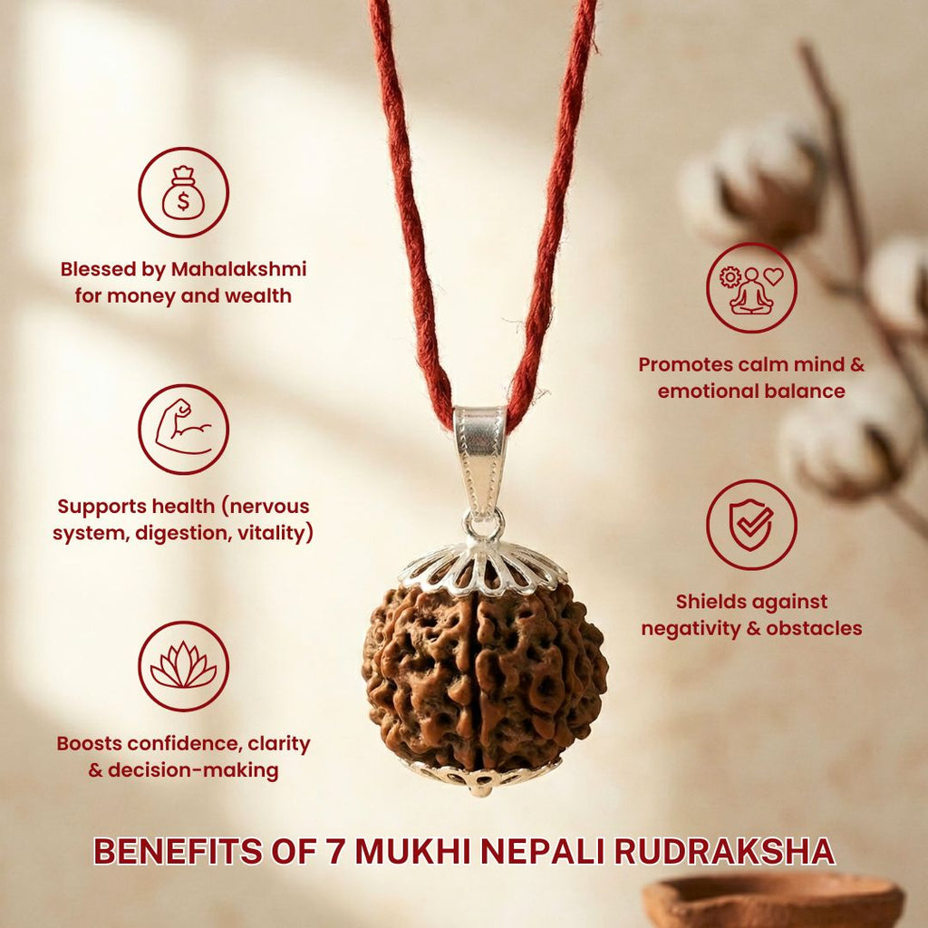 Trivah 7 Mukhi Nepali Rudraksha