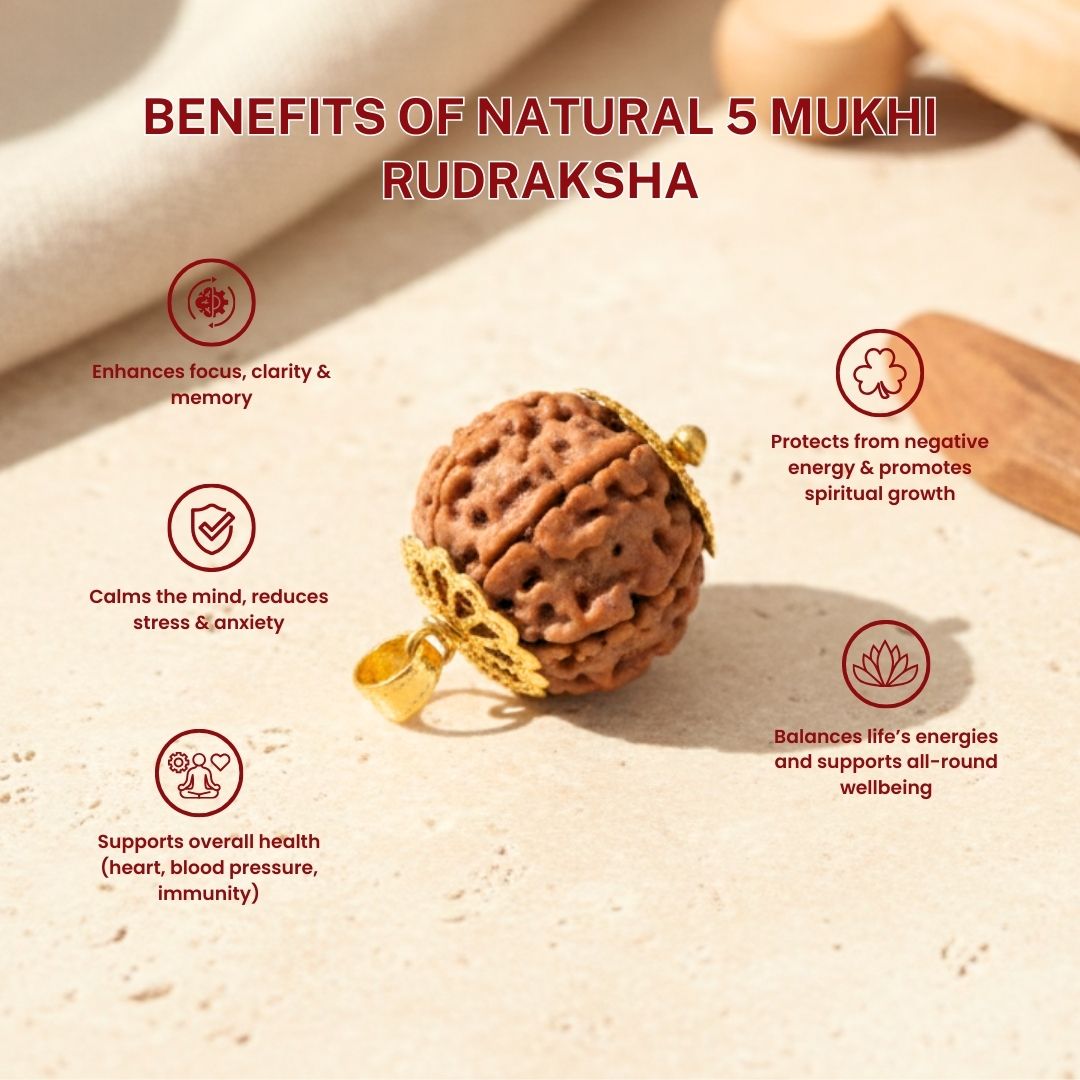 Trivah 5 Mukhi Nepali Rudraksha| Gold Plated