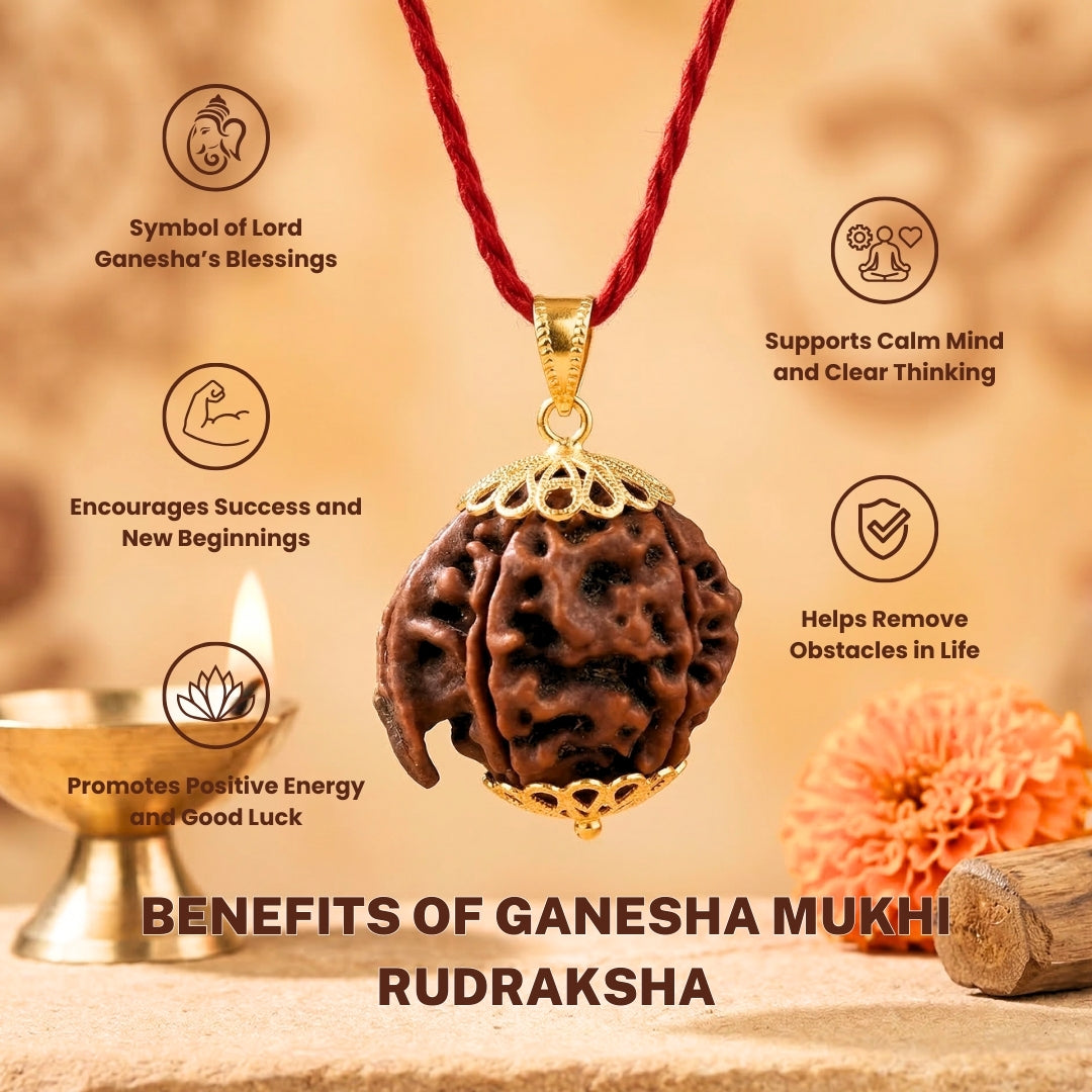 Divine Ganesh Rudraksha