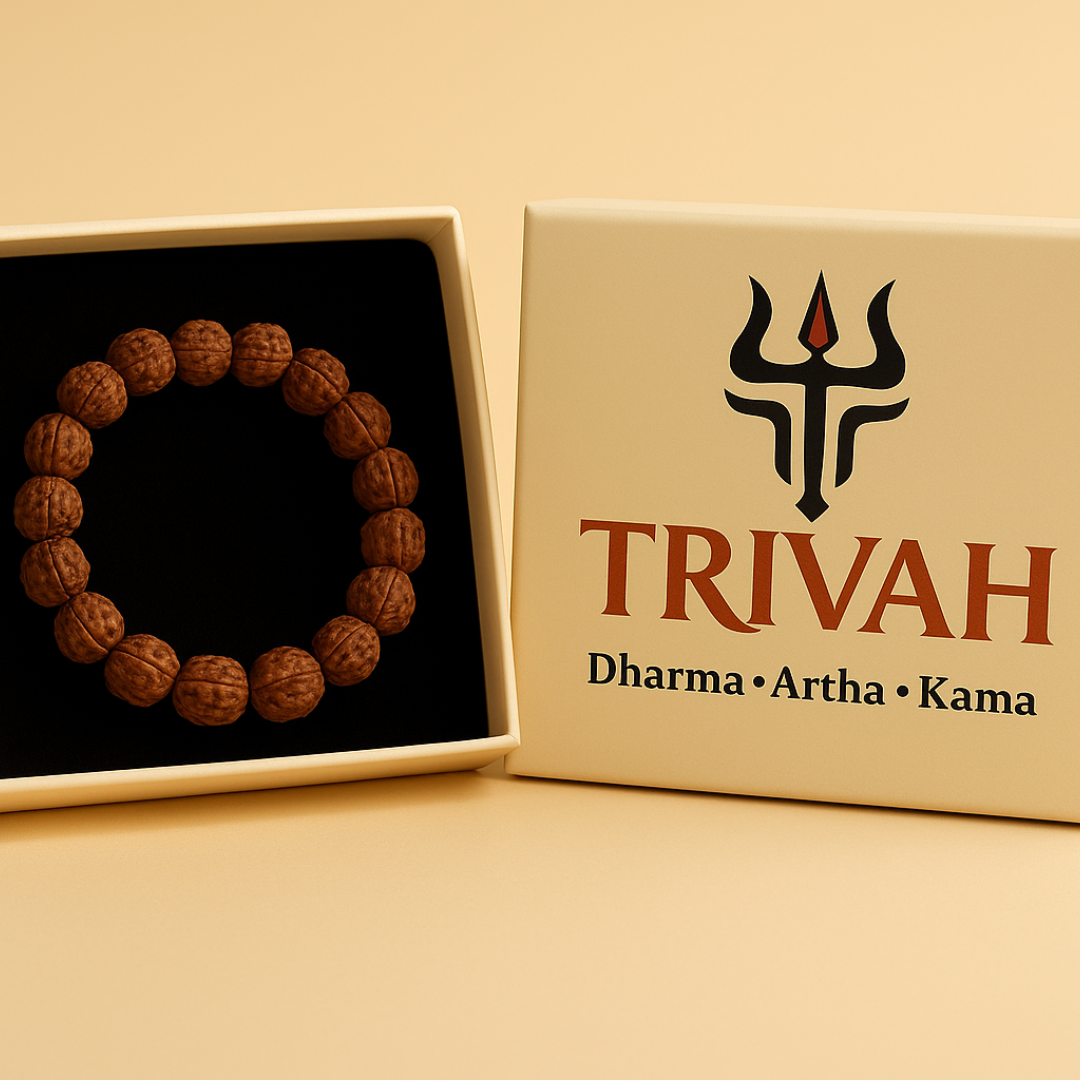 Trivah 7 Mukhi Rudraksha Bracelet