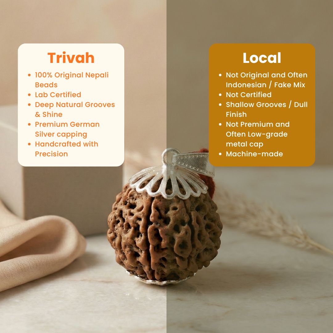Trivah 7 Mukhi Nepali Rudraksha