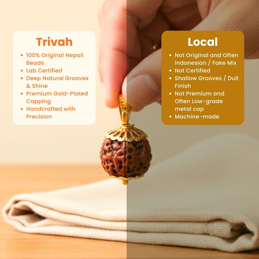 Trivah 5 Mukhi Nepali Rudraksha| Gold Plated