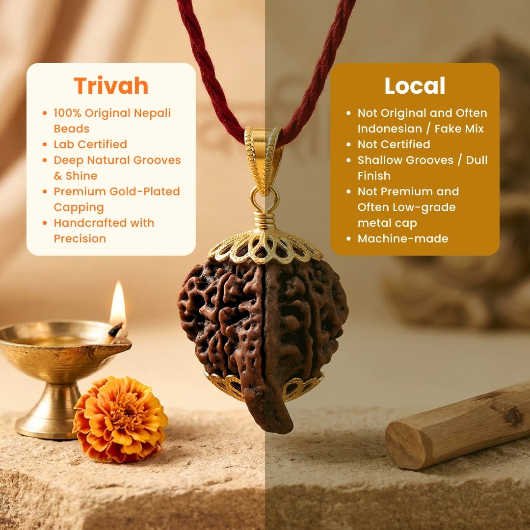 Divine Ganesh Rudraksha