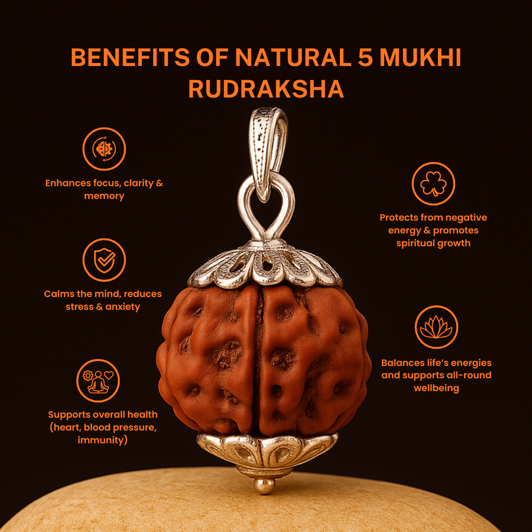 Trivah 5 Mukhi Nepali Rudraksha