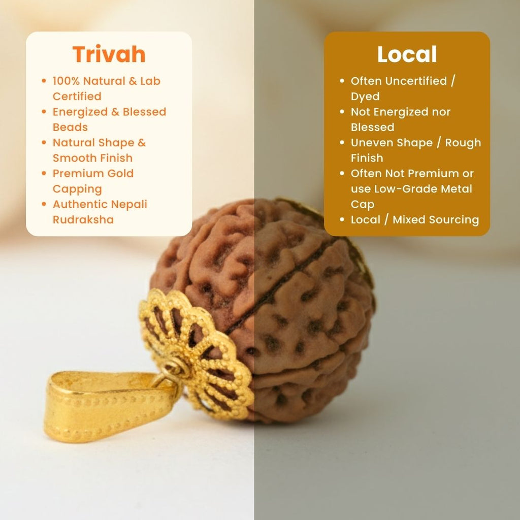 Trivah 7 Mukhi Nepali Rudraksha | Gold Plated