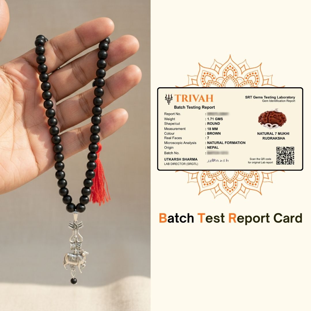 108 beads Karungali Mala with Shiv Trishul & Nandi Pendant