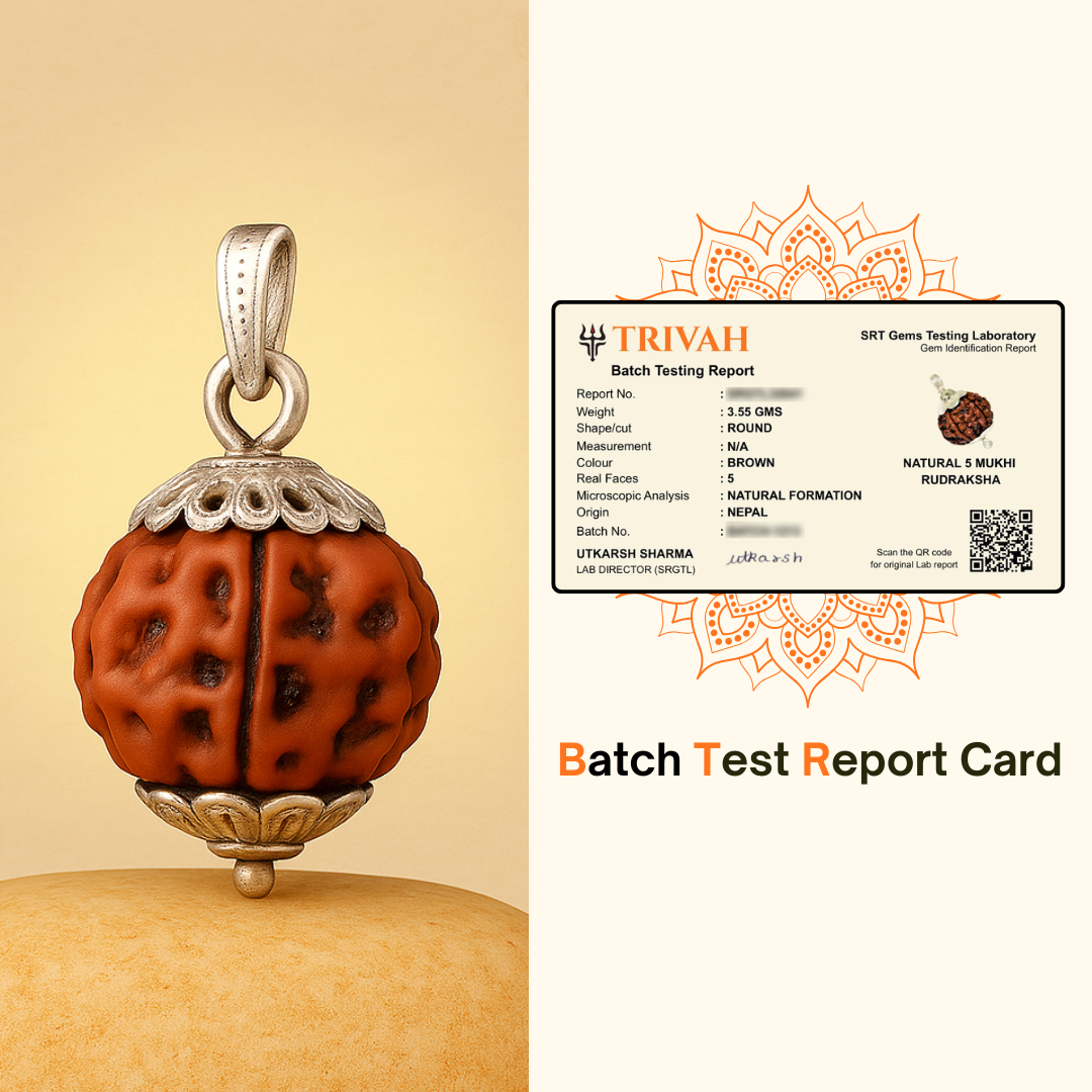 Trivah 5 Mukhi Nepali Rudraksha