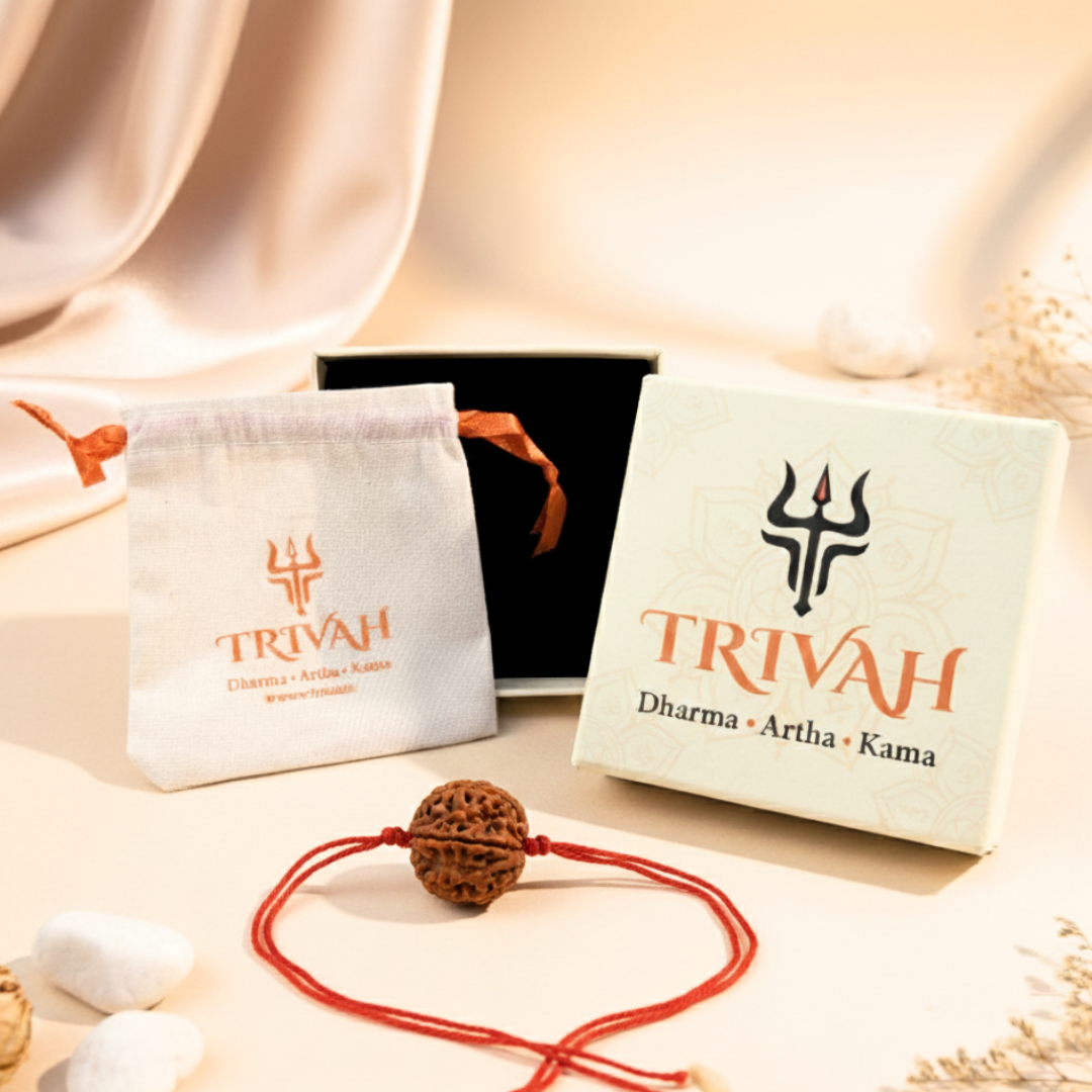 Blessed 7 Mukhi Mahalaxmi Rudraksha