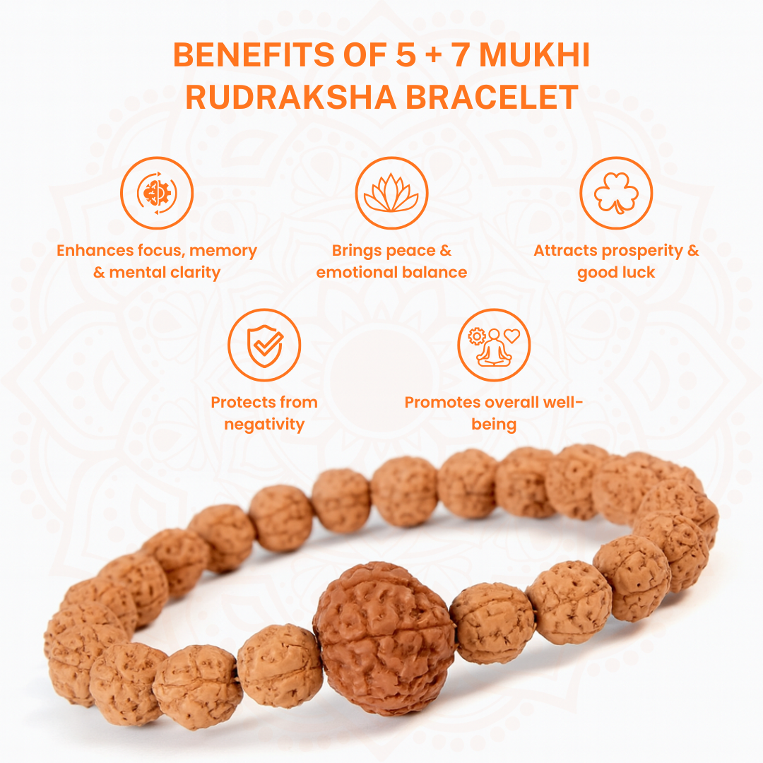 Trivah 5+7 Mukhi Rudraksha Bracelet