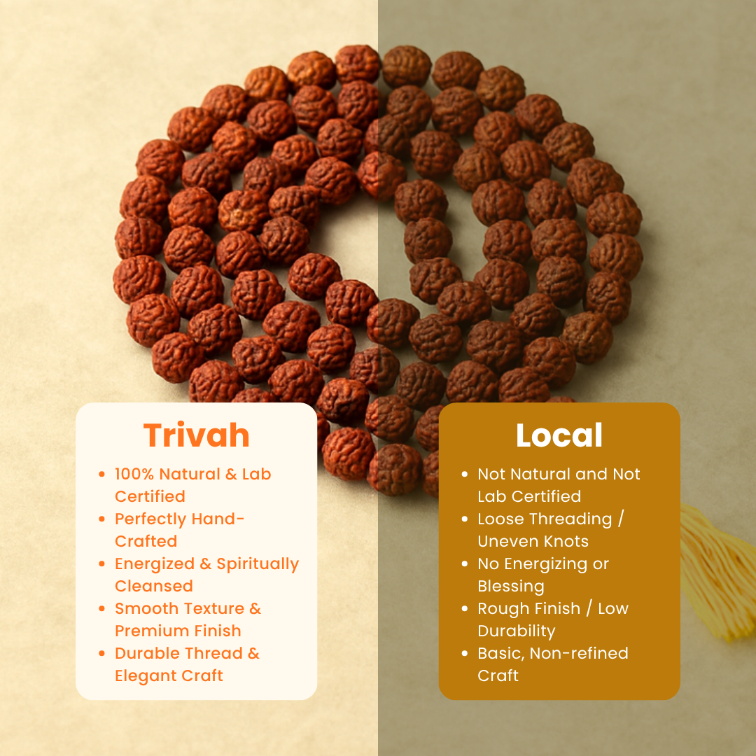 Trivah 108 Rudraksha Jap Mala