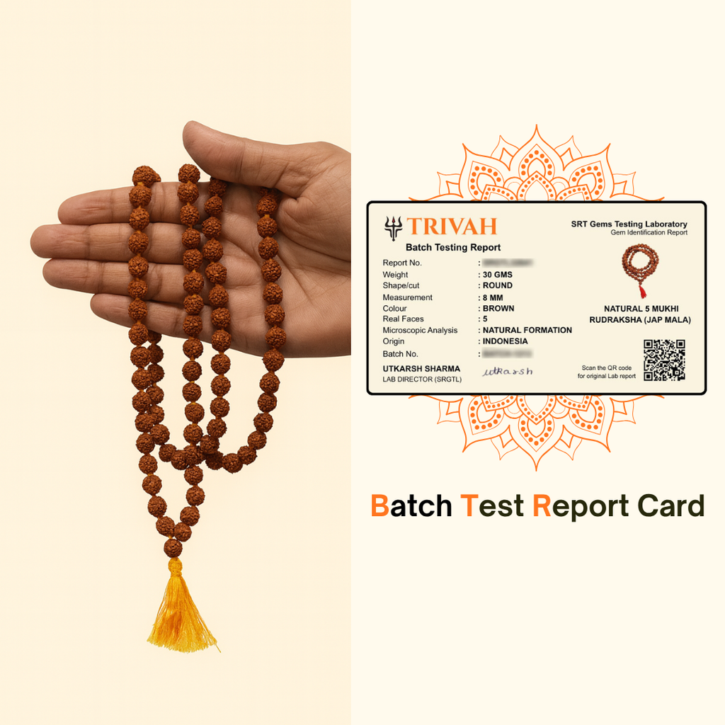 108 Beads Rudraksha Jap Mala