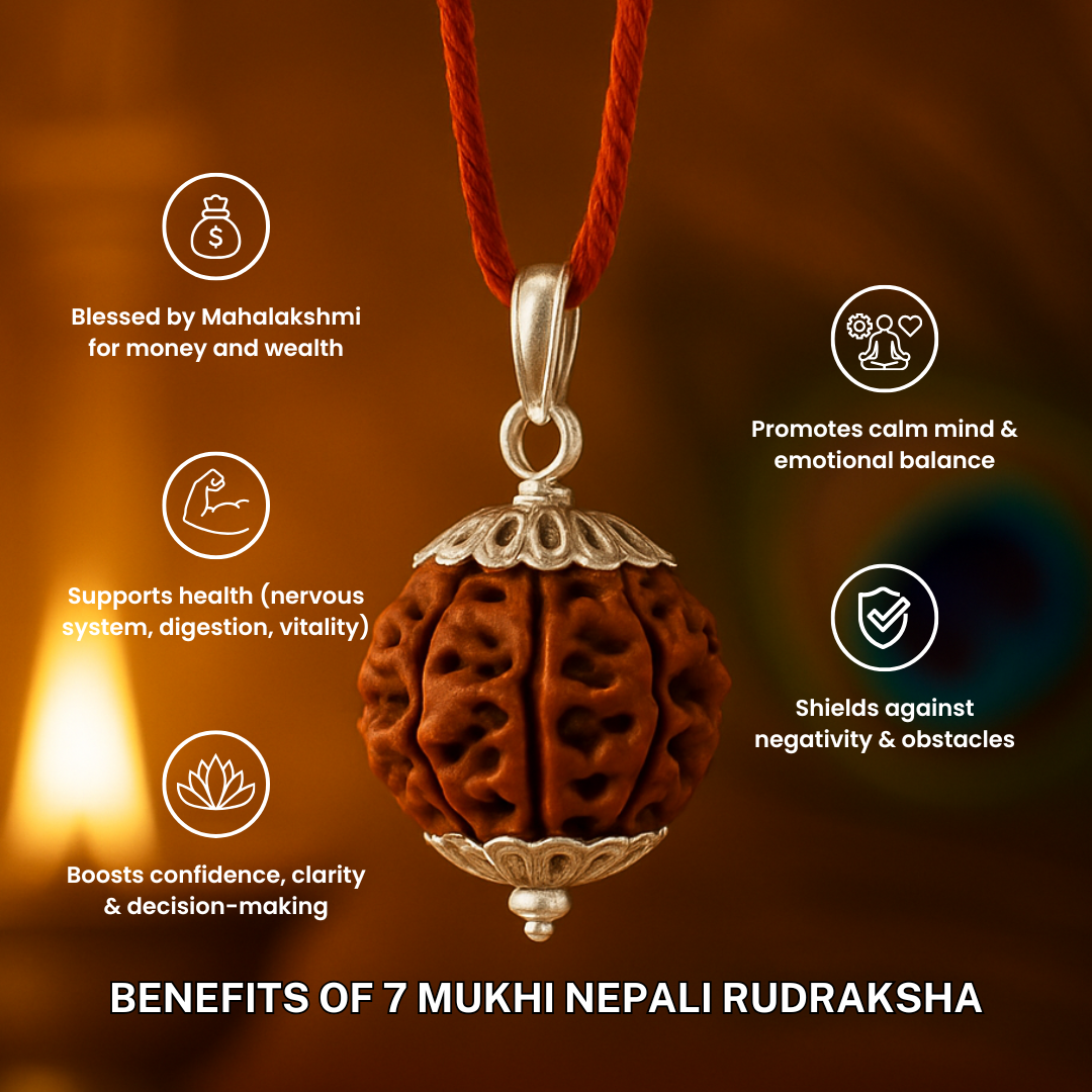 Trivah 7 Mukhi Nepali Rudraksha