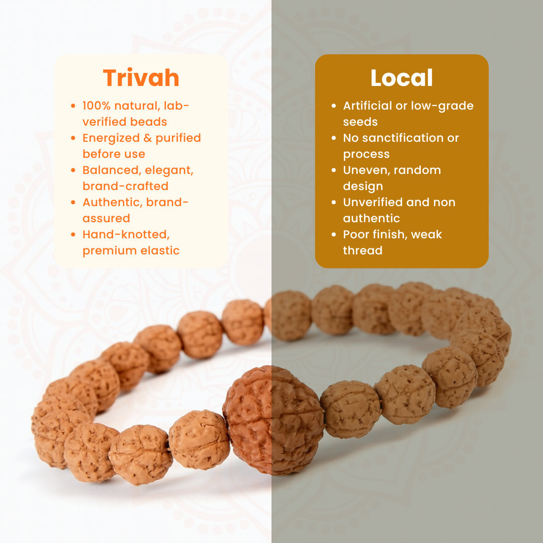 Trivah 5+7 Mukhi Rudraksha Bracelet