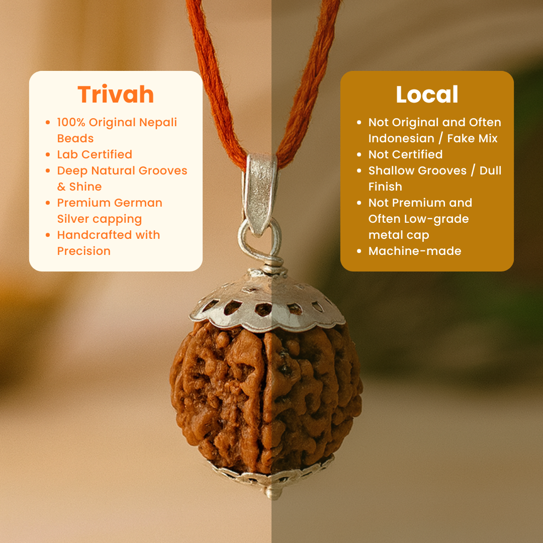 Trivah 7 Mukhi Nepali Rudraksha